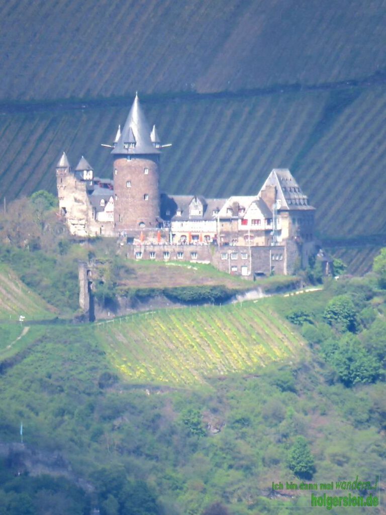 Blick auf Burg Stahleck (Bacharach)